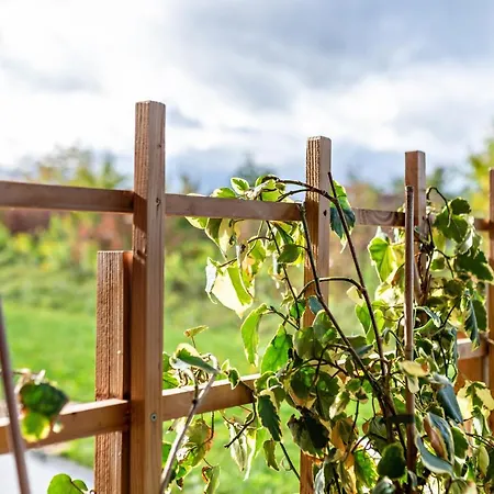 Apartmán Reiser Straubenhardt