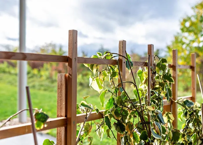 Apartamento Reiser Straubenhardt