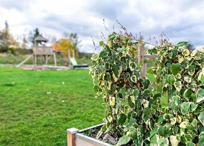 Apartamento Reiser *